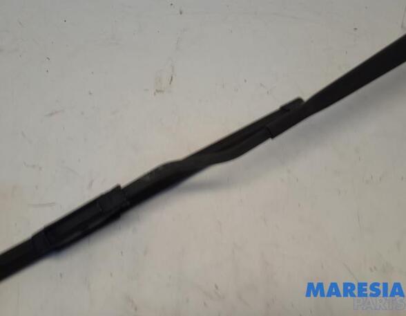 Wiper Arm RENAULT TWINGO III (BCM_, BCA_)