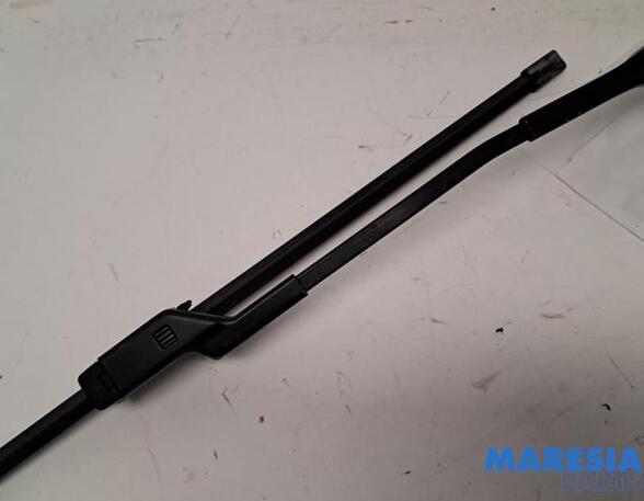 Wiper Arm FIAT 500 (312_), FIAT 500 C (312_)