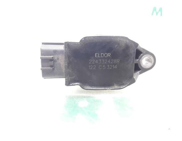 Ignition Coil RENAULT Twingo III (BCM)