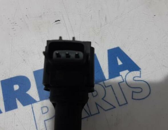 Ignition Coil RENAULT Captur I (H5, J5), RENAULT Clio IV (BH)