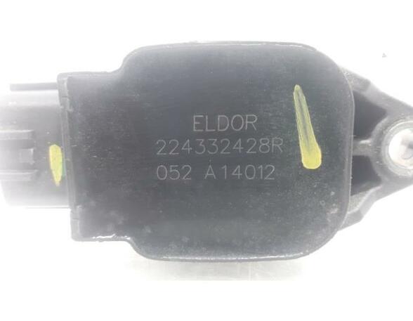 Ignition Coil RENAULT Captur I (H5, J5), RENAULT Clio IV (BH)