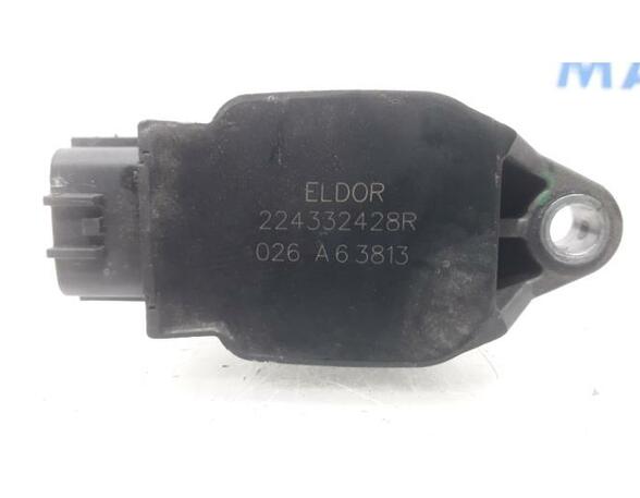 Ignition Coil RENAULT Captur I (H5, J5), RENAULT Clio IV (BH)