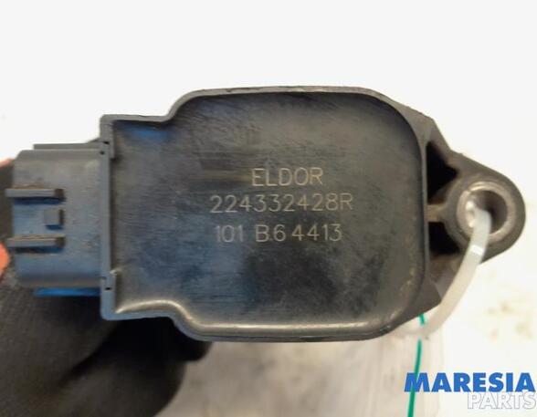 Ignition Coil RENAULT Captur I (H5, J5), RENAULT Clio IV (BH)