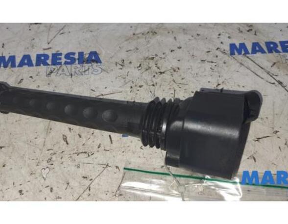 Ignition Coil FIAT DOBLO Cargo (263_), FIAT DOBLO MPV (263_)