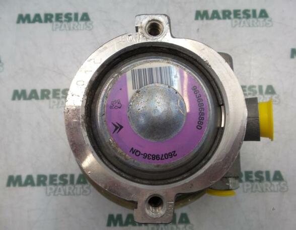 Power steering pump PEUGEOT 206 Schrägheck (2A/C)