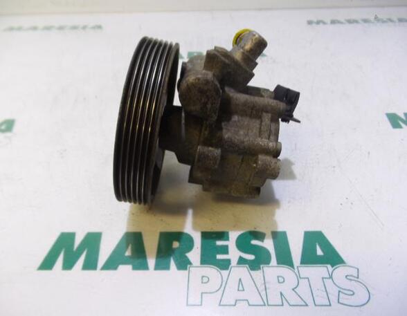 Power steering pump FIAT SCUDO Van (220_), FIAT SCUDO Platform/Chassis (220_)