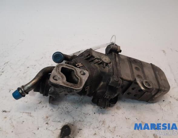 Cooler for exhaust recuperation RENAULT Master III Kasten (FV)