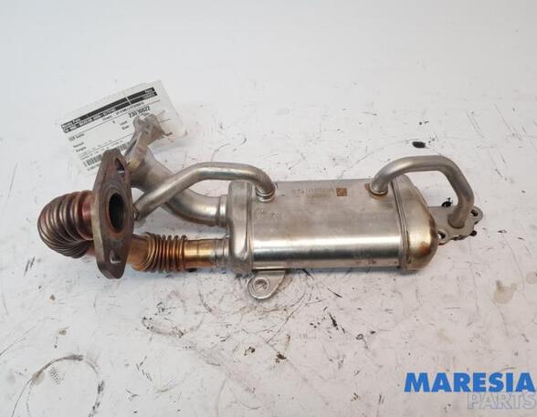 Kühler für Abgasrückführung Renault Kangoo II Rapid FW0 147357324R P20331210