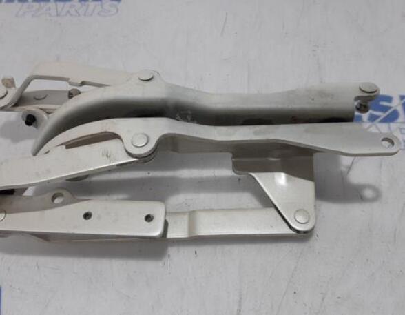 Heckklap hinge FIAT 500 (312_), FIAT 500 C (312_), ABARTH 500 / 595 / 695 (312_), ABARTH 500C / 595C / 695C (312_)