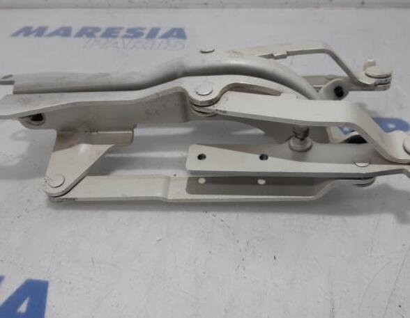 Heckklap hinge FIAT 500 (312_), FIAT 500 C (312_), ABARTH 500 / 595 / 695 (312_), ABARTH 500C / 595C / 695C (312_)