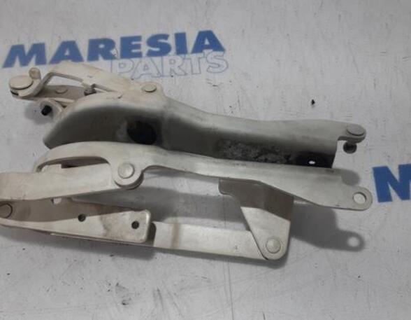 Heckklap hinge FIAT 500 (312_), FIAT 500 C (312_), ABARTH 500 / 595 / 695 (312_), ABARTH 500C / 595C / 695C (312_)