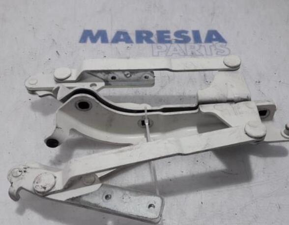 Heckklap hinge FIAT 500 (312_), FIAT 500 C (312_), ABARTH 500 / 595 / 695 (312_), ABARTH 500C / 595C / 695C (312_)