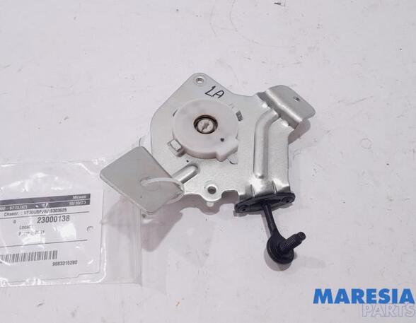 Heckklap hinge PEUGEOT 3008 MPV (0U_)