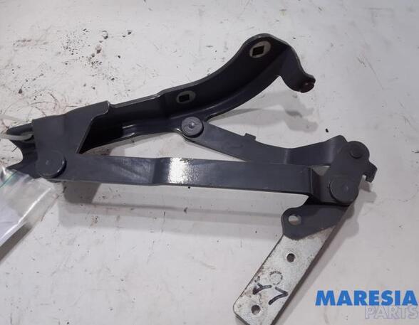 Heckklap hinge FIAT 500 (312_), FIAT 500 C (312_), ABARTH 500 / 595 / 695 (312_), ABARTH 500C / 595C / 695C (312_)