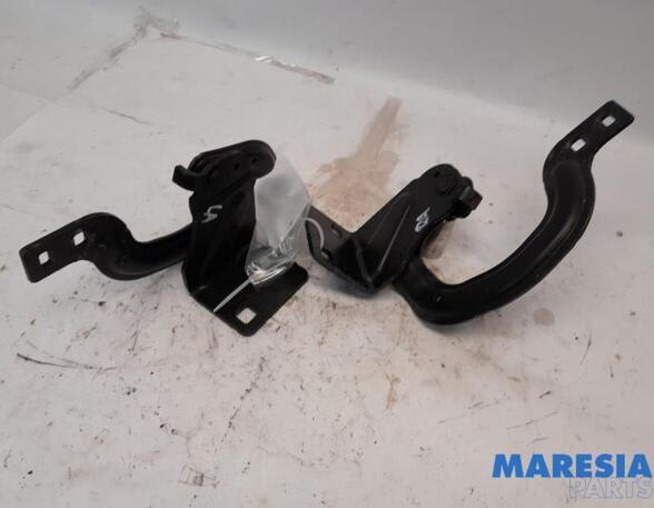 Heckklap hinge PEUGEOT 3008 MPV (0U_)