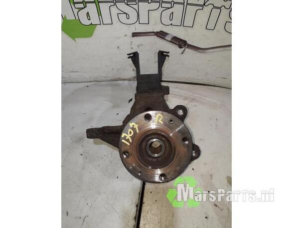 Stub Axle PEUGEOT 206+ (2L_, 2M_)