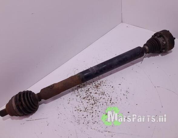 Drive Shaft VW TOURAN (1T1, 1T2), AUDI A3 (8P1), AUDI A3 Sportback (8PA)