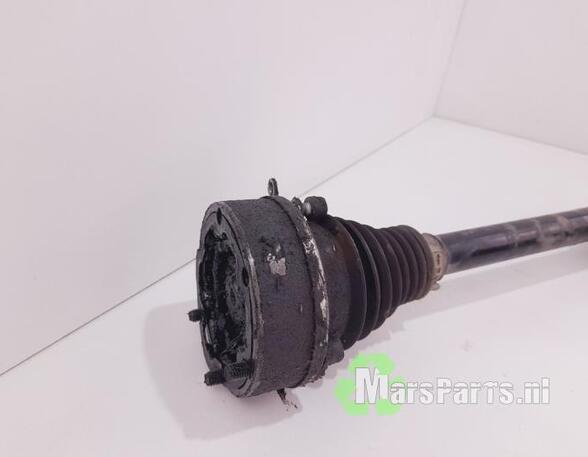 Drive Shaft VW GOLF PLUS (5M1, 521)