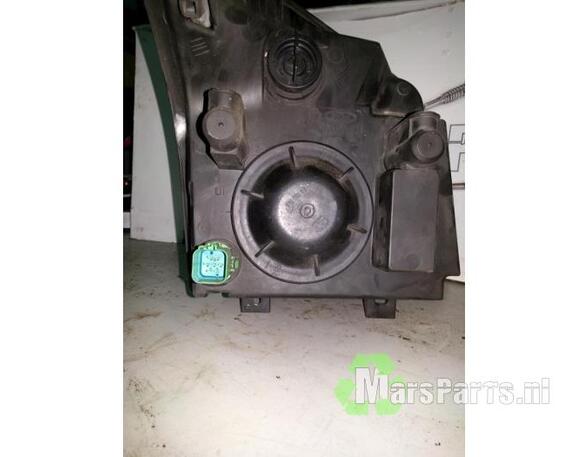 Insert Headlight FORD TRANSIT CONNECT (P65_, P70_, P80_)