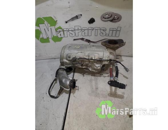 Diesel Particulate Filter (DPF) RENAULT KANGOO Express (FW0/1_)