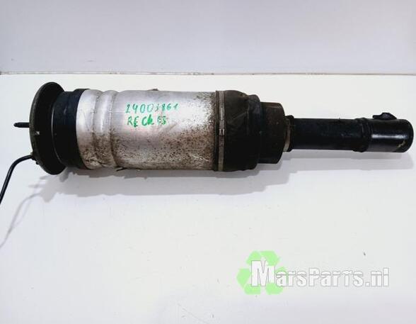 Suspension Strut LAND ROVER RANGE ROVER VELAR (L560)