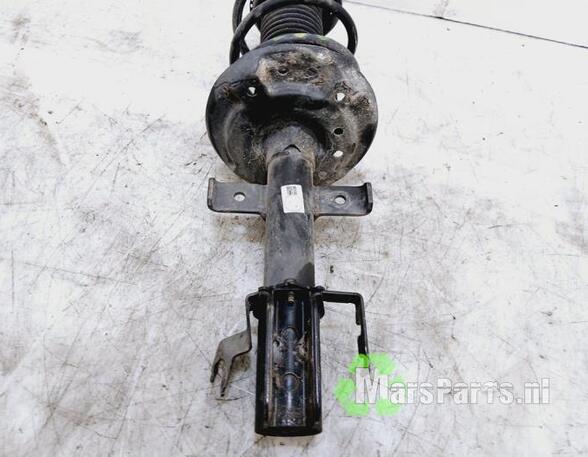 Suspension Strut RENAULT CLIO V (B7_)