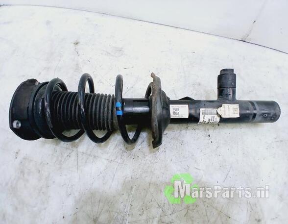 Suspension Strut VW GOLF VIII (CD1)