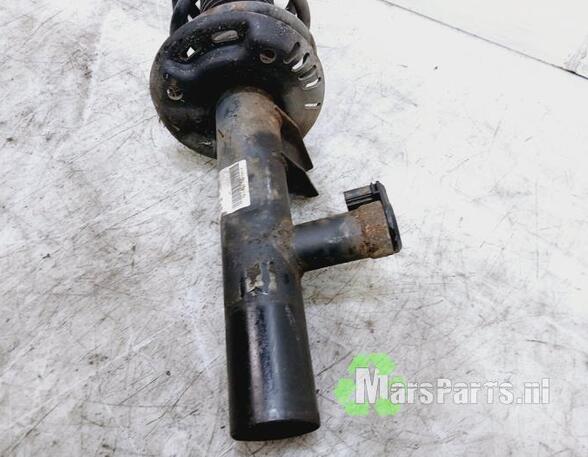 Suspension Strut VW PASSAT (3C2), VW GOLF VI (5K1)