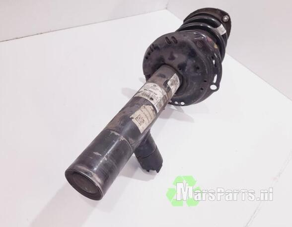 Suspension Strut VW GOLF VIII (CD1)