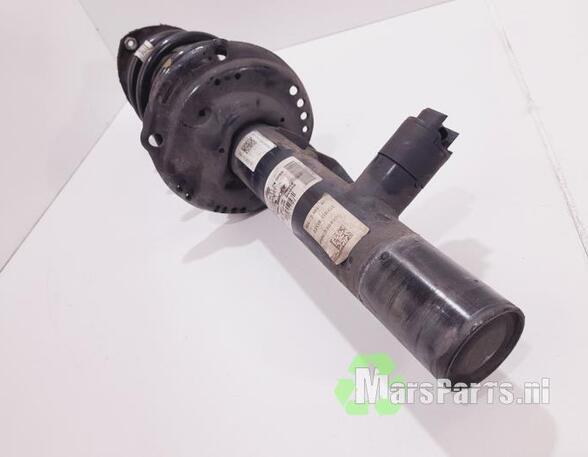 Suspension Strut VW GOLF VIII (CD1)