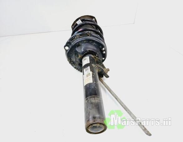 Suspension Strut VW GOLF VII (5G1, BQ1, BE1, BE2)