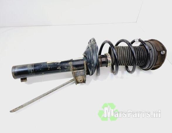 Suspension Strut VW GOLF VII (5G1, BQ1, BE1, BE2)