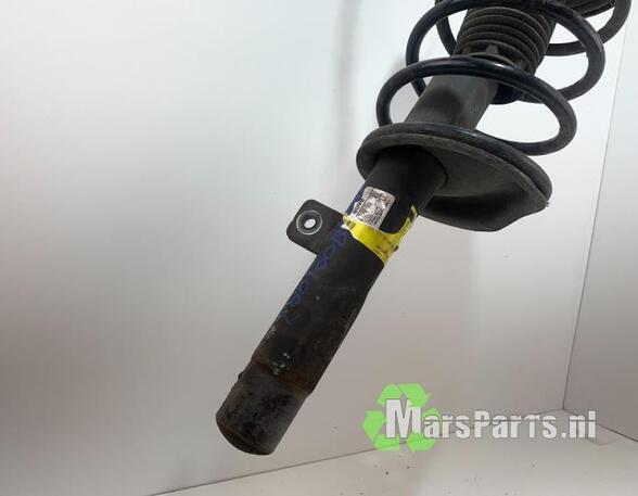 Suspension Strut PEUGEOT 206+ (2L_, 2M_)