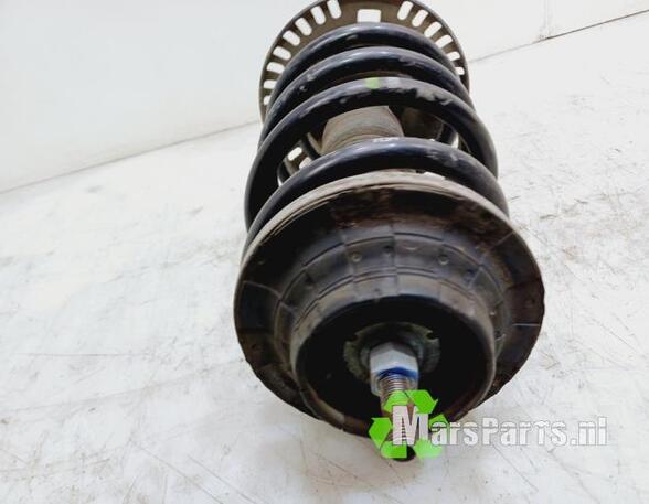 Suspension Strut VW TRANSPORTER V Platform/Chassis (7JD, 7JE, 7JL, 7JY, 7JZ, 7FD