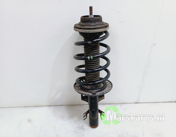 Suspension Strut VW TRANSPORTER V Platform/Chassis (7JD, 7JE, 7JL, 7JY, 7JZ, 7FD