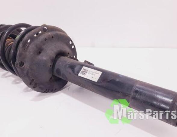 Suspension Strut VW GOLF VII (5G1, BQ1, BE1, BE2)