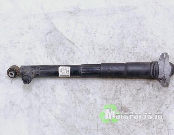 Shock Absorber VW GOLF VIII (CD1)