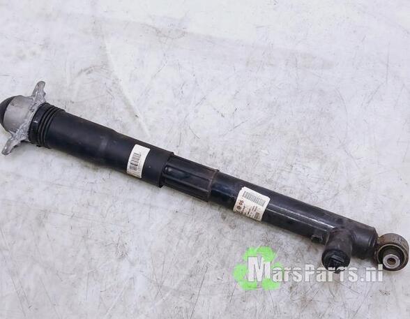 Shock Absorber VW GOLF VIII (CD1)