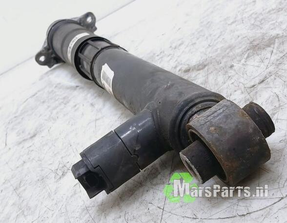 Shock Absorber VW GOLF VIII (CD1)