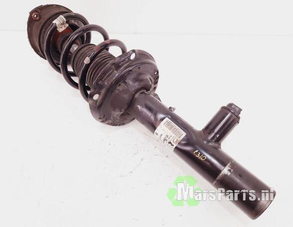 Shock Absorber SEAT LEON ST (5F8)