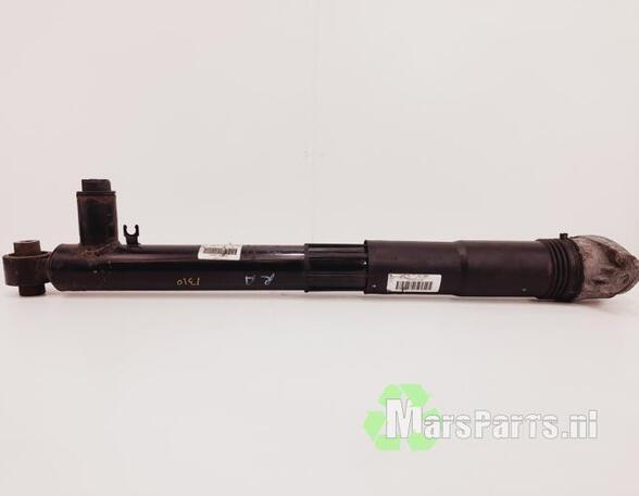 Shock Absorber SEAT LEON ST (5F8)