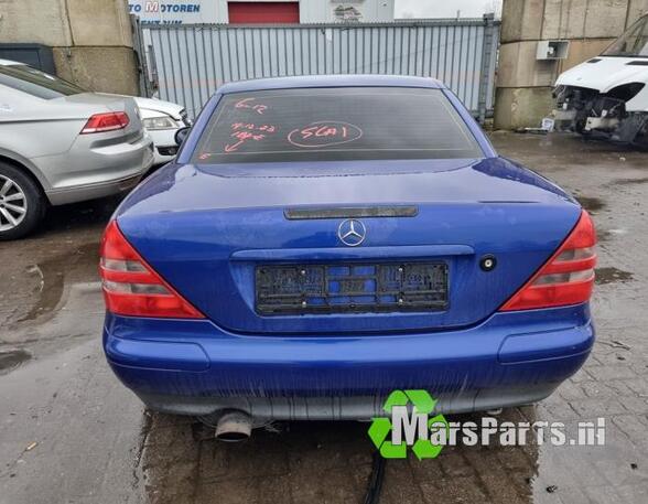 Differentieel MERCEDES-BENZ SLK (R170)