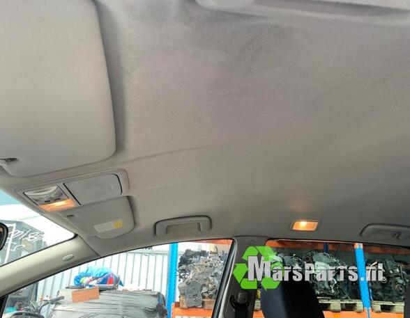 Front Interior Roof Trim Panel MITSUBISHI GRANDIS (NA_W)