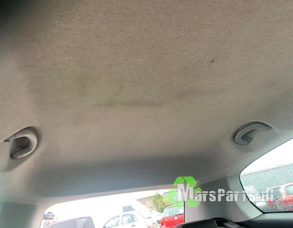 Front Interior Roof Trim Panel FIAT GRANDE PUNTO (199_), FIAT PUNTO EVO (199_), FIAT PUNTO (199_), ABARTH PUNTO (199_)