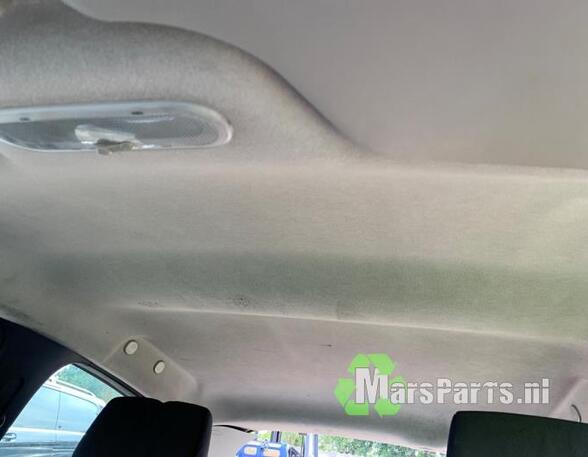 Front Interior Roof Trim Panel RENAULT CLIO III (BR0/1, CR0/1), RENAULT CLIO IV (BH_), RENAULT CLIO II (BB_, CB_)