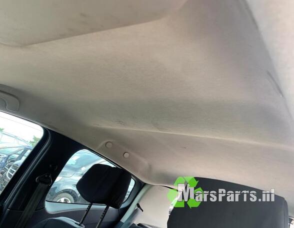 Front Interior Roof Trim Panel RENAULT CLIO III (BR0/1, CR0/1), RENAULT CLIO IV (BH_), RENAULT CLIO II (BB_, CB_)