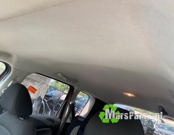 Front roof paneel CITROËN C3 PICASSO (SH_)