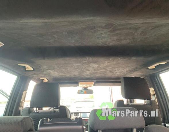 Front Interior Roof Trim Panel LAND ROVER RANGE ROVER SPORT (L320)