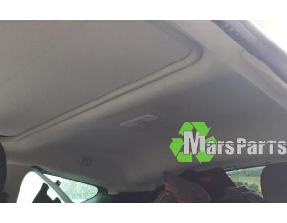 Front Interior Roof Trim Panel RENAULT MEGANE III Coupe (DZ0/1_)