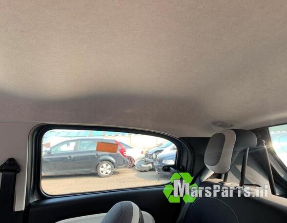 Front Interior Roof Trim Panel RENAULT TWINGO III (BCM_, BCA_)